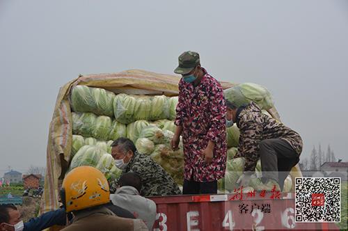 松滋司機(jī)最新招聘,松滋司機(jī)最新招聘，職業(yè)前景、要求與如何應(yīng)聘