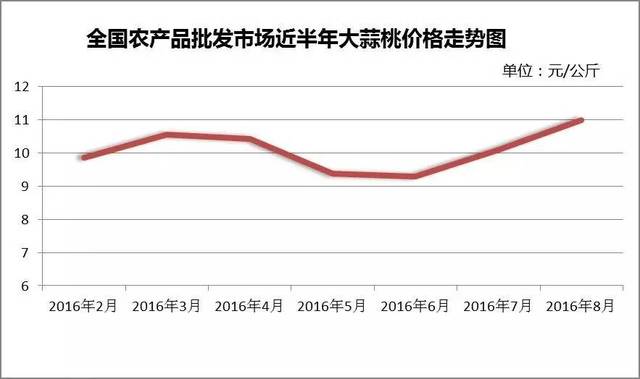 魚臺大蒜最新價格,魚臺大蒜最新價格動態(tài)分析