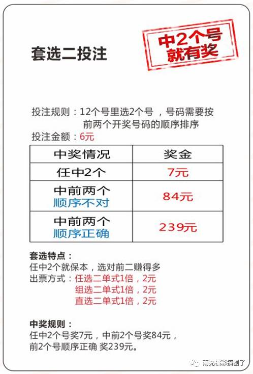 新澳門49碼中獎規(guī)則,新澳門49碼中獎規(guī)則解析及相關(guān)法律風險警示