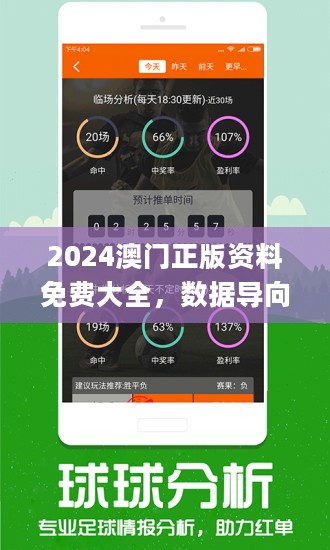 2024澳門精準正版免費大全,關于澳門精準正版免費大全的探討與警示——警惕違法犯罪問題