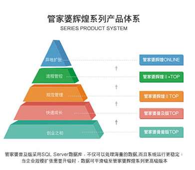 新澳門管家婆一句,新澳門管家婆一句，揭示背后的智慧與奧秘