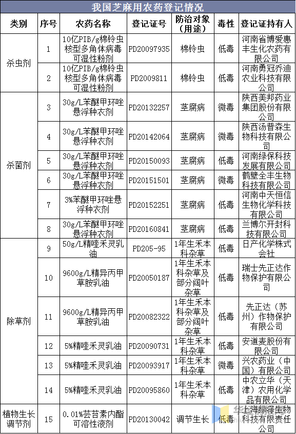 新澳資料免費長期公開嗎,新澳資料免費長期公開，可能性與影響分析