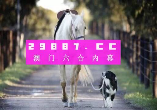 新澳2024年精準(zhǔn)一肖一碼,新澳2024年精準(zhǔn)一肖一碼，預(yù)測(cè)與探索