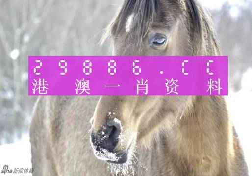 澳門精準(zhǔn)一肖一碼100%,澳門精準(zhǔn)一肖一碼，揭秘預(yù)測背后的秘密與真相