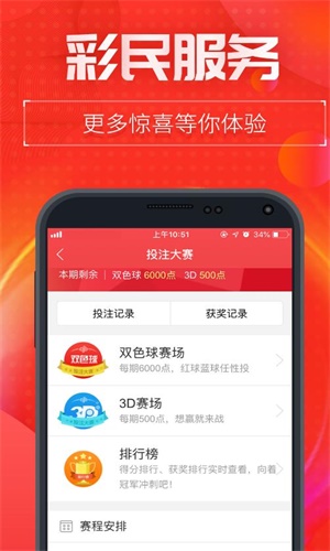 王中王493333中特1肖,王中王493333中特1肖，探索與解讀