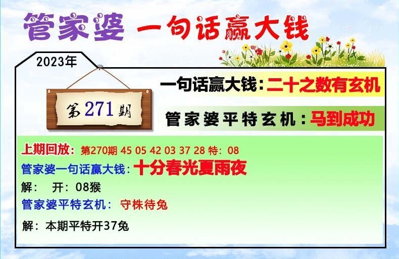 澳門一肖一碼100管家婆9995,澳門一肖一碼與管家婆9995，探索與解析