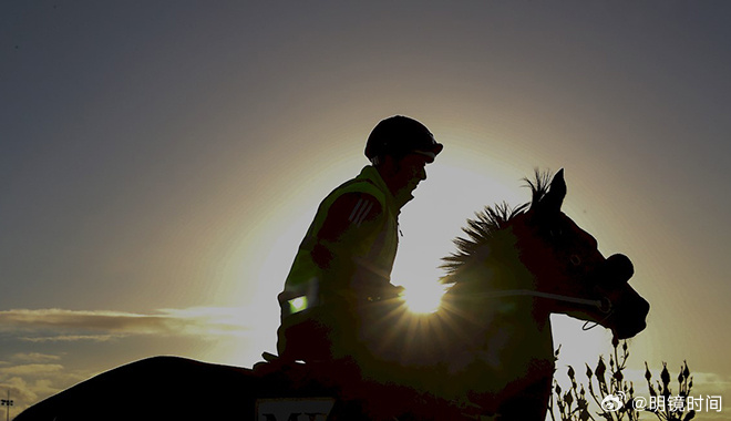 2024澳門特馬開獎號碼,澳門特馬開獎號碼，探索與預測（2024年展望）