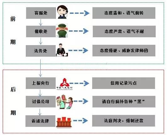 二四六期期準資料公開,二四六期期準資料公開，探索與啟示