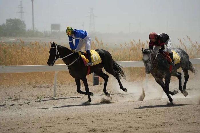 2024今晚香港開特馬,今晚香港開特馬，探索賽馬運(yùn)動的魅力與未來展望