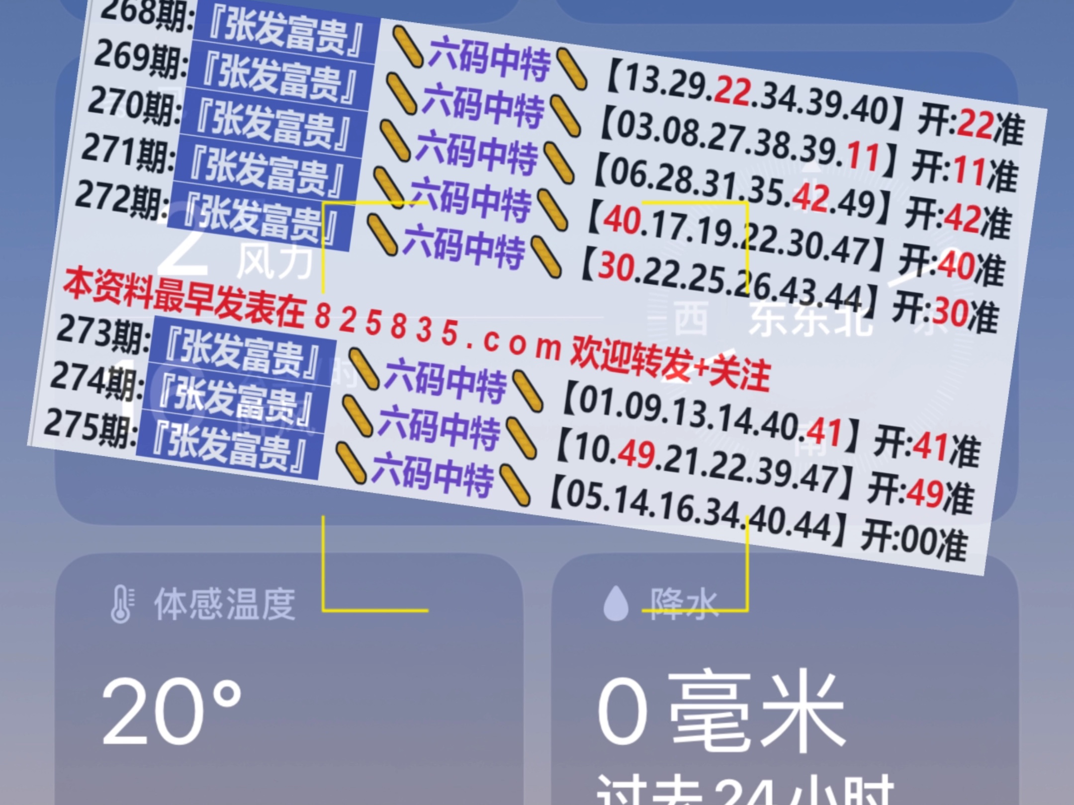 2024新奧門天天開好彩大全85期,新奧門天天開好彩大全 85期精彩回顧與展望