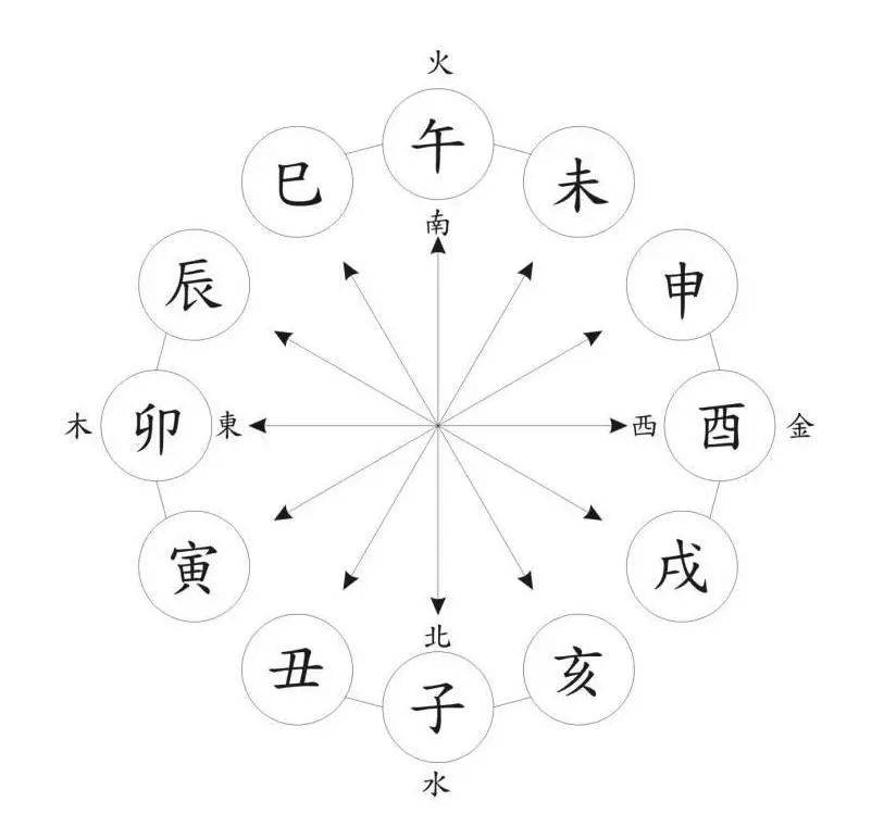 一肖一碼,一肖一碼，探索數(shù)字與生肖的奧秘