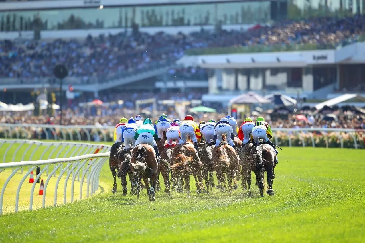 2024今晚香港開特馬,今晚香港開特馬，探尋賽馬文化的魅力與激情