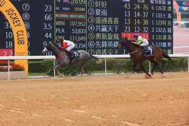 今晚澳門馬出什么特馬,今晚澳門馬會出什么樣的特馬？探索澳門賽馬中的神秘元素