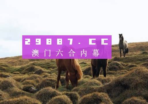 新澳門開獎(jiǎng)結(jié)果2024開獎(jiǎng)記錄,澳門新開獎(jiǎng)結(jié)果2024年開獎(jiǎng)記錄探析