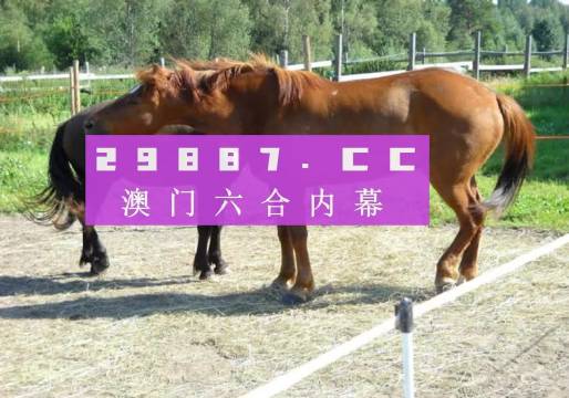 4949澳門特馬今晚開獎53期,澳門特馬第53期開獎揭曉，期待與現(xiàn)實的交匯