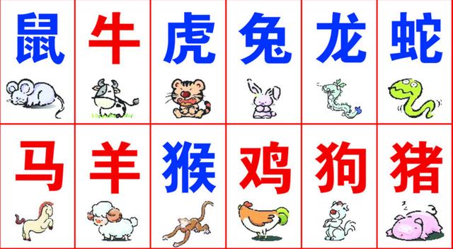 一碼一肖100%精準(zhǔn)生肖第六,一碼一肖，揭秘生肖第六的精準(zhǔn)魅力與奧秘