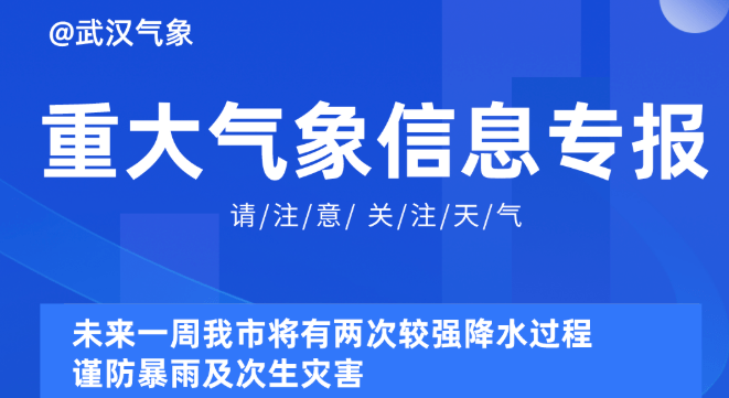 2025年1月19日 第15頁