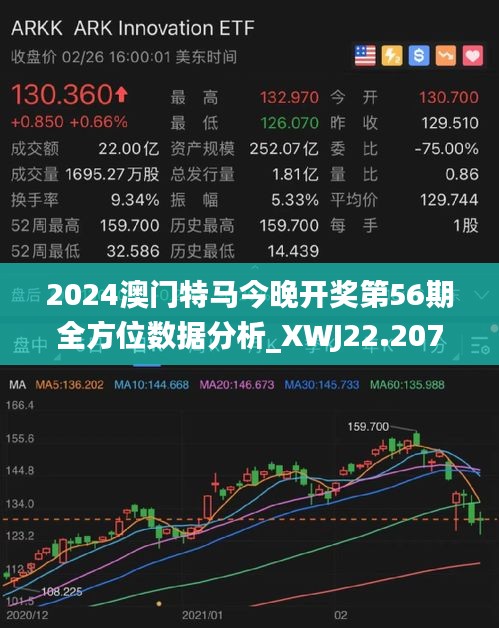 2025年澳門特馬今晚,澳門特馬在2025年的新篇章，探索未來與傳承歷史