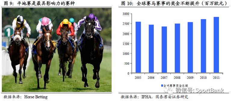 特馬資料,特馬資料，深入了解與探索