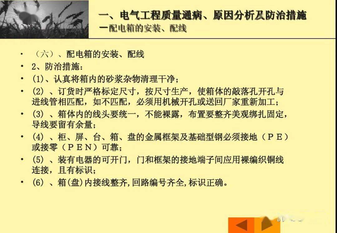 正版資料免費資料大全十點半,正版資料與免費資料大全，十點半的寶藏探索