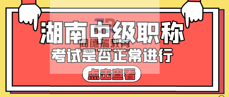 管家婆一肖一馬一中一特,管家婆的神秘預(yù)測，一肖一馬一中一特