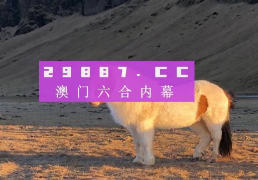 澳門一碼100%準(zhǔn)確,澳門一碼100%準(zhǔn)確預(yù)測背后的秘密與探索