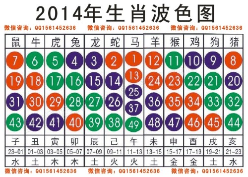 2025十二生肖49碼表,揭秘十二生肖與數(shù)字世界的神秘聯(lián)系，2025年十二生肖49碼表詳解