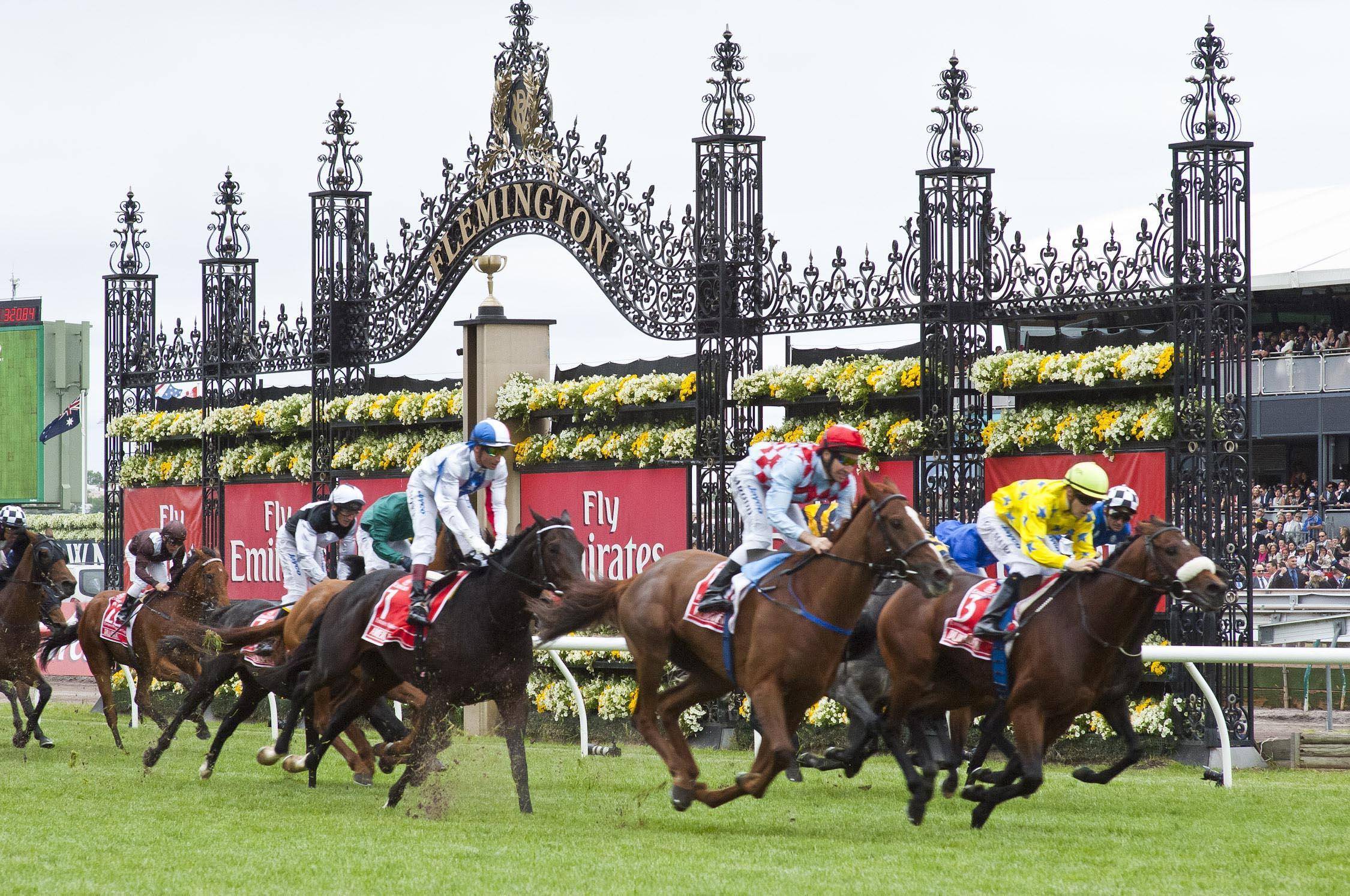 新澳今天開什么特馬,新澳今日賽馬結(jié)果揭秘，探尋特馬的勝利軌跡