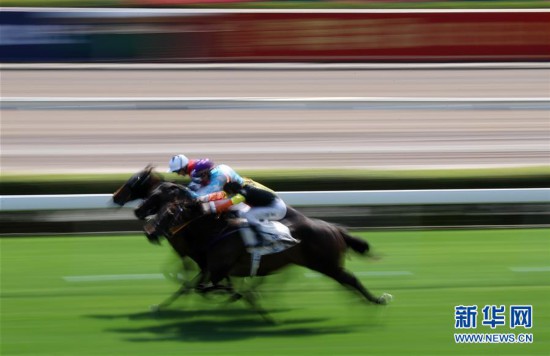 香港最準馬會資料免費,香港最準馬會資料免費，探索賽馬運動的魅力與公開資料的機遇