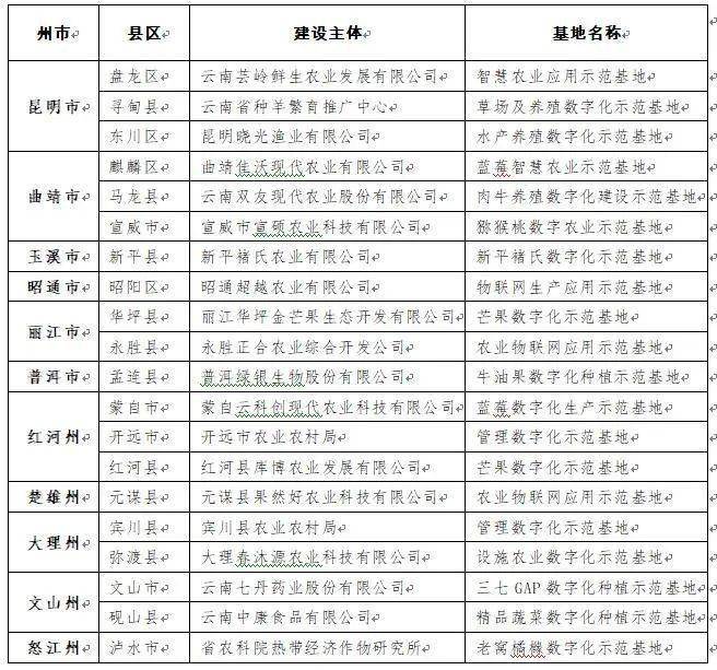 2025正板資料免費公開,邁向公開透明，2025正板資料免費公開的未來展望