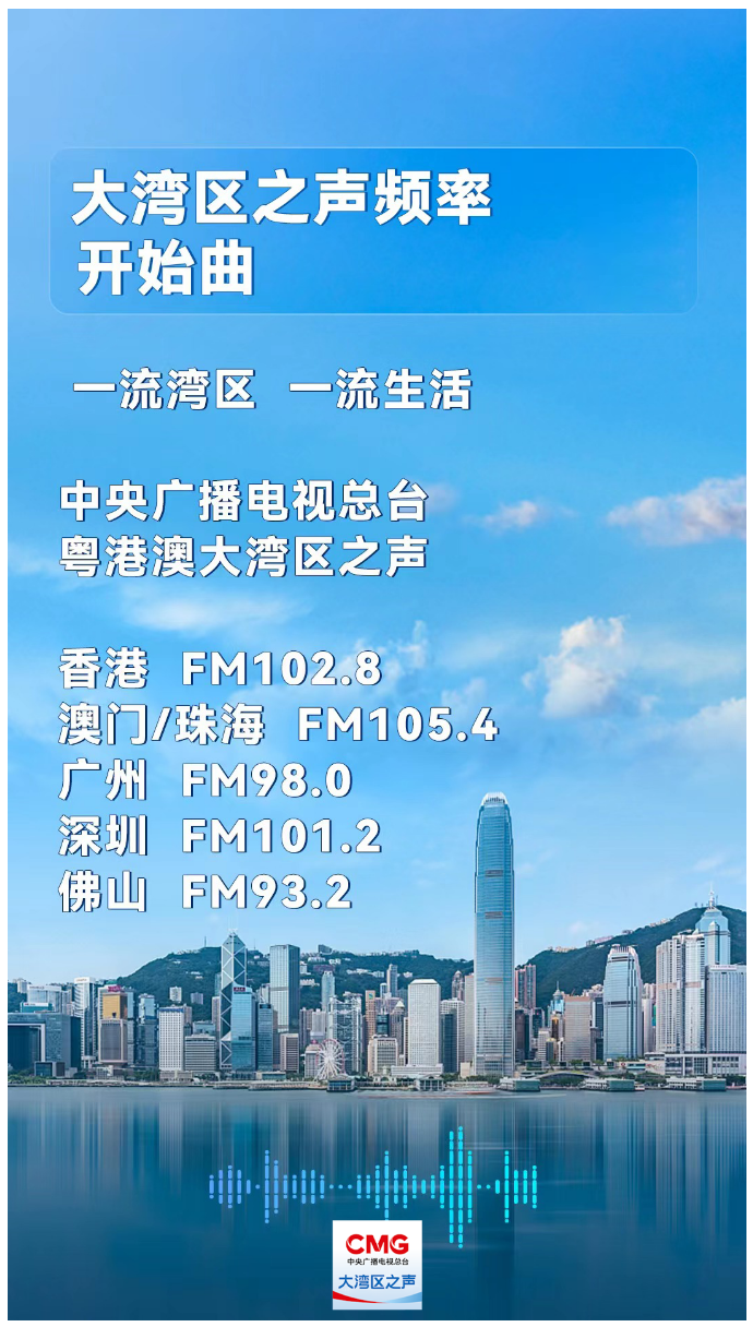 新澳門精準資料期期精準,新澳門精準資料期期精準，探索與解讀