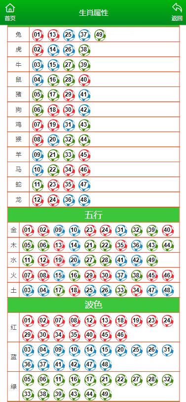 澳門碼鞋一肖一碼,澳門碼鞋一肖一碼，探索與解讀