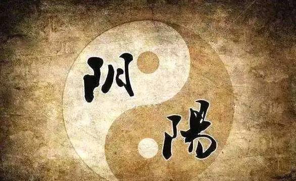 管家婆最準(zhǔn)一碼一肖,管家婆最準(zhǔn)一碼一肖，揭秘神秘預(yù)測(cè)背后的真相